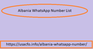 WhatsApp Number 